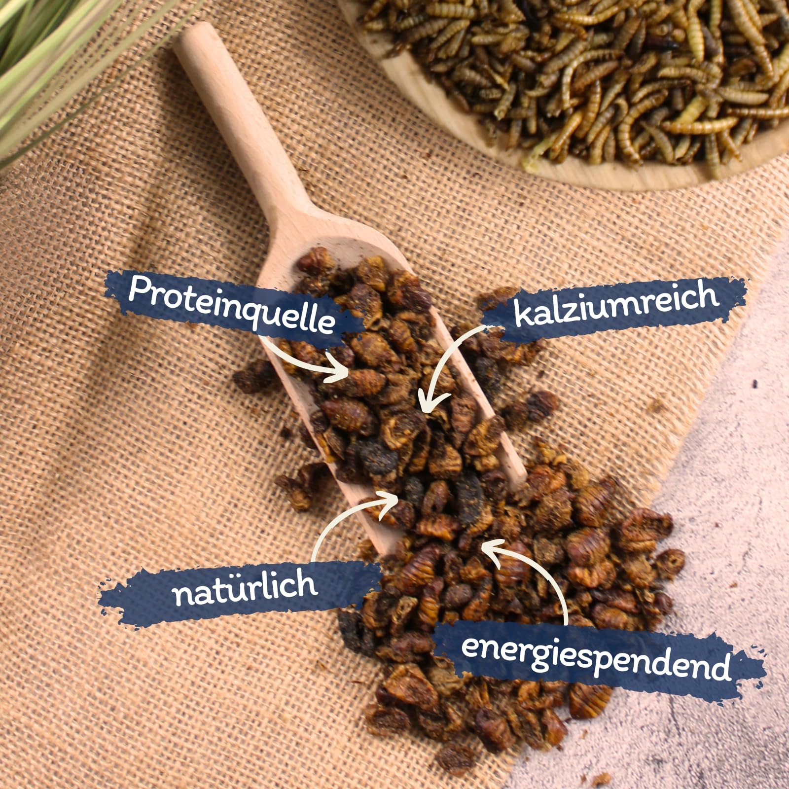 Lyra Pet® 5 kg Seidenraupen getrocknet Vogelfutter Wildvögel Nager | Reich an Proteinen & ungesättigten Fettsäuren - Nährstoffspender & Energiequelle I Natürliches Futter
