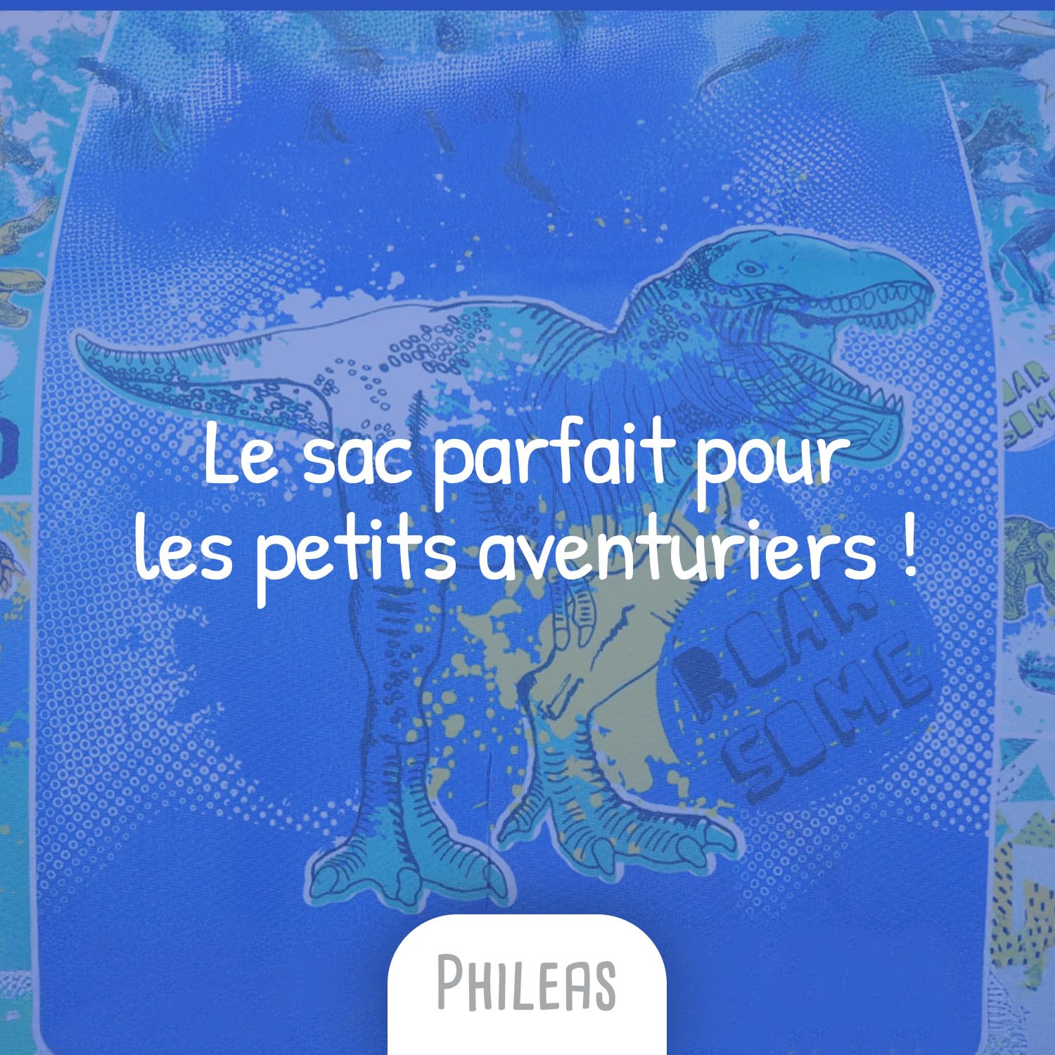 Bagtrotter - Cartable Primaire Garçon 38 cm - Grand Rangement - Tons Bleu - Différents Modèles & Licences