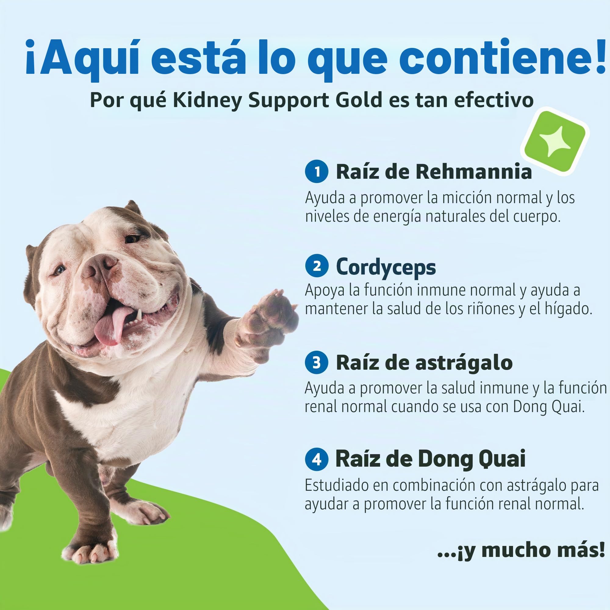 Pet Wellbeing El Apoyo del Riñón para Perros - Soporte Natural para La Salud De Riñón Canino ()