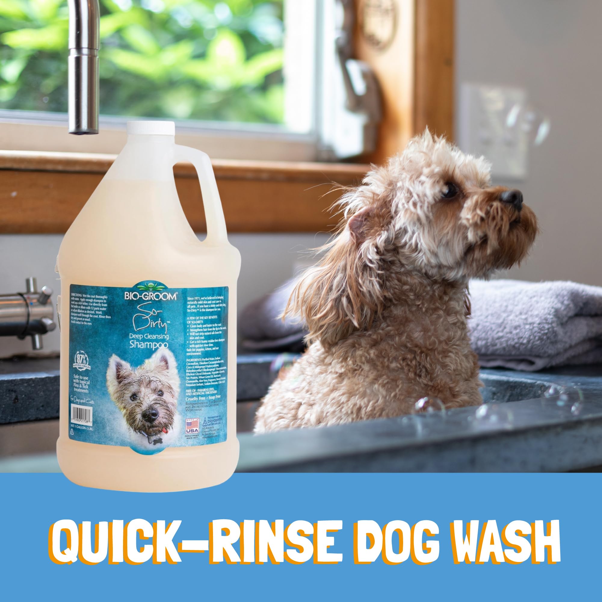 Bio-Groom So-Dirty - Tiefenreinigendes Hundeshampoo - Verleiht Glanz und stärkt das Haar - Frei von Parabenen und Silikonen - Konzentrat 1:12 - Verdünnt - 49 L - Bis zu 1482 Hundwäschen - 3.8 L