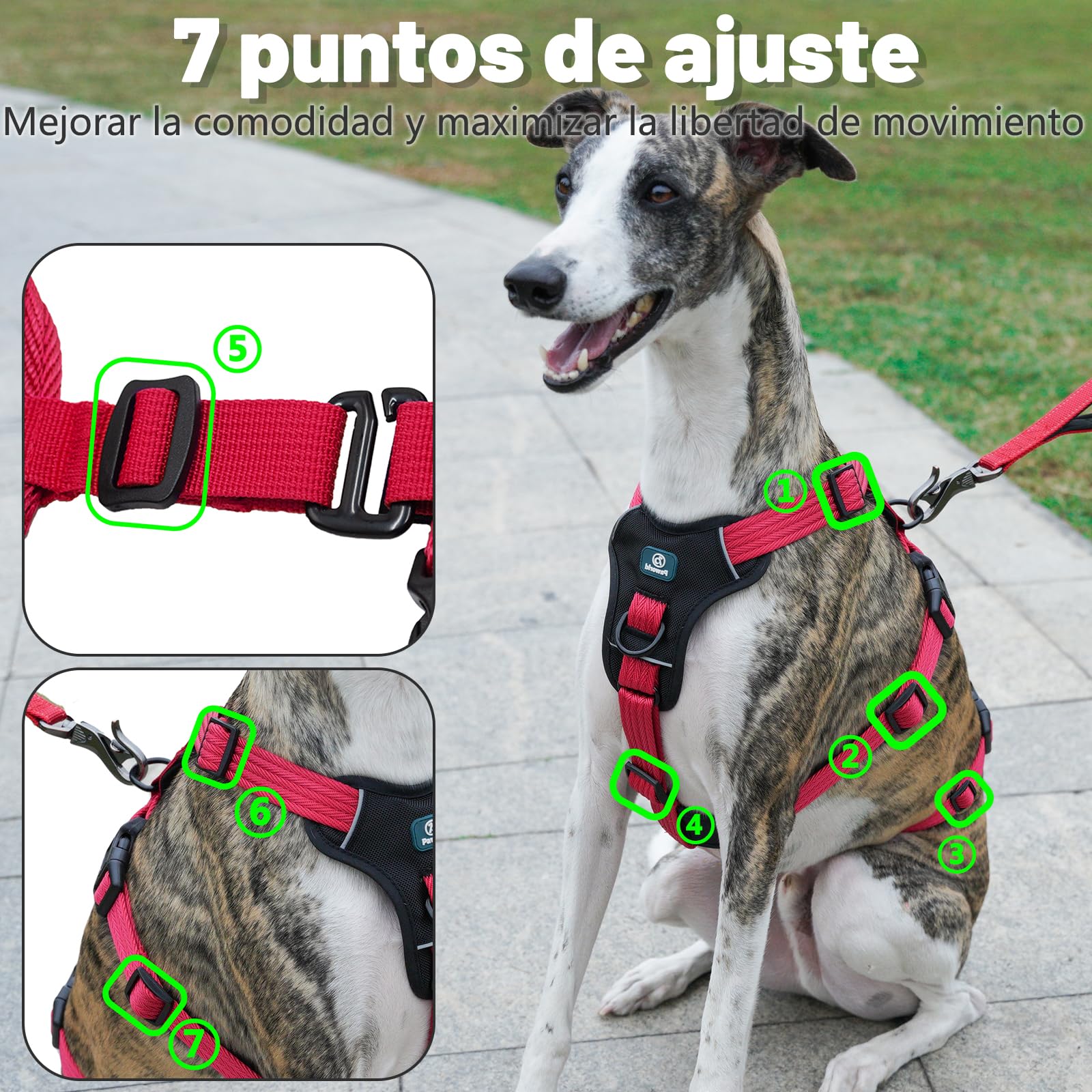Arnes Antiescape Perro, Arnes Antitirones Perro, Arnes Perro Pequeño, Ajustable, Duradero, Transpirable, Sin Estrangulamiento, Entrenamiento y Paseo al Aire Libre (Rojo Rosa, S)