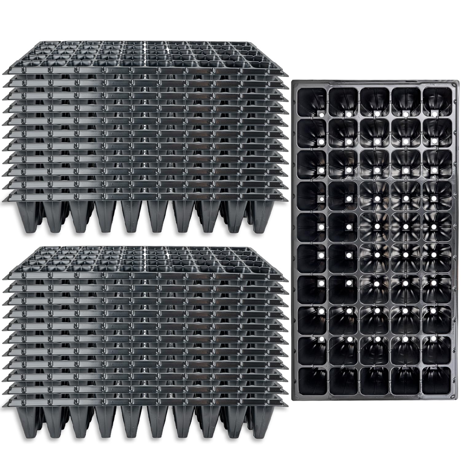 Woodside 50 Cell Root Trainer Seed Trays 24 Pack | Reusable Propagation Trays for Seedlings & Cuttings | Deep Cell Plant Starter Trays with Drainage Holes | Garden Growing Equipment