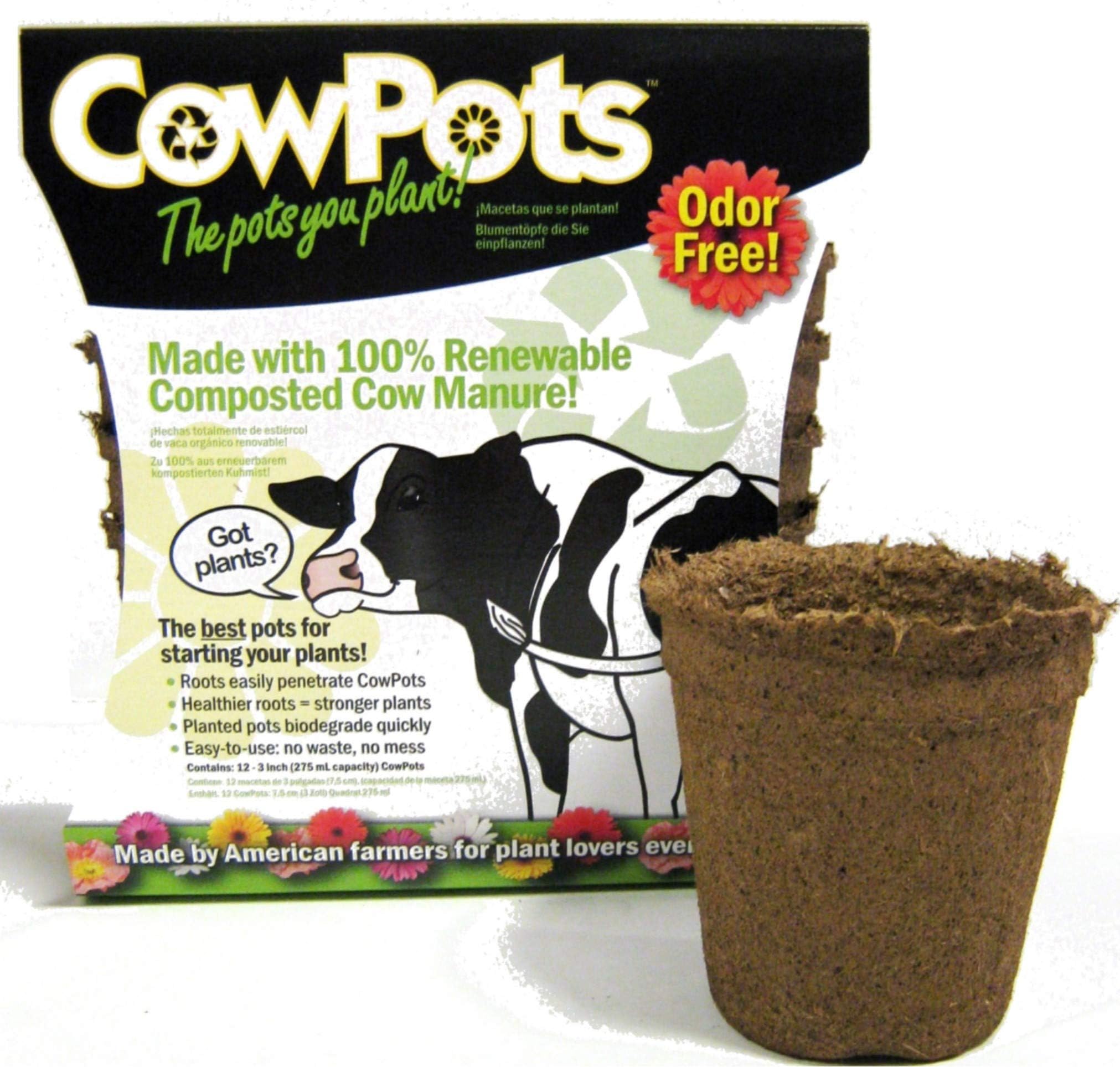 CowPots TV208926 Round Cowpot, 3"