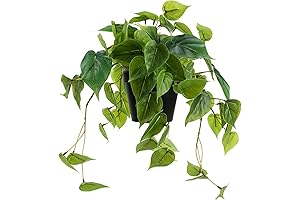 Artificial Scindapsus Aureus: Lifelike Faux Spider Plant for Home and Office Ambiance