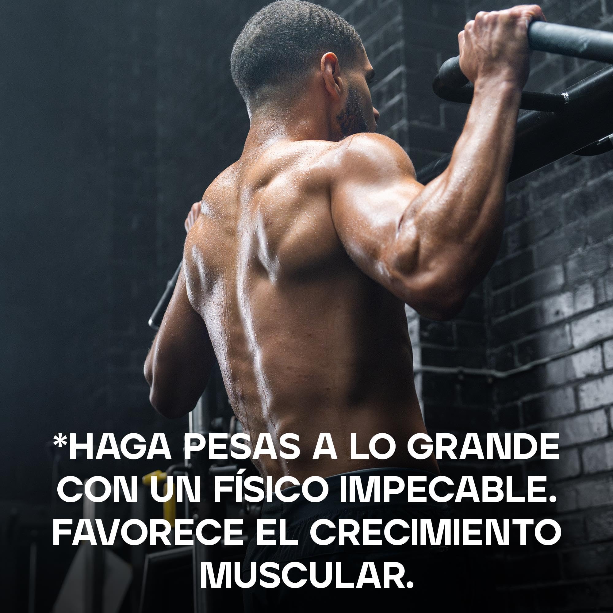 Bulk Pure Whey Isolate | Naturaleza | 26g de proteína por porción | Aislado de suero | Bajo en azúcar | Bajo en grasa | Absorción rápida | Ayuda al mantenimiento muscular | 500g