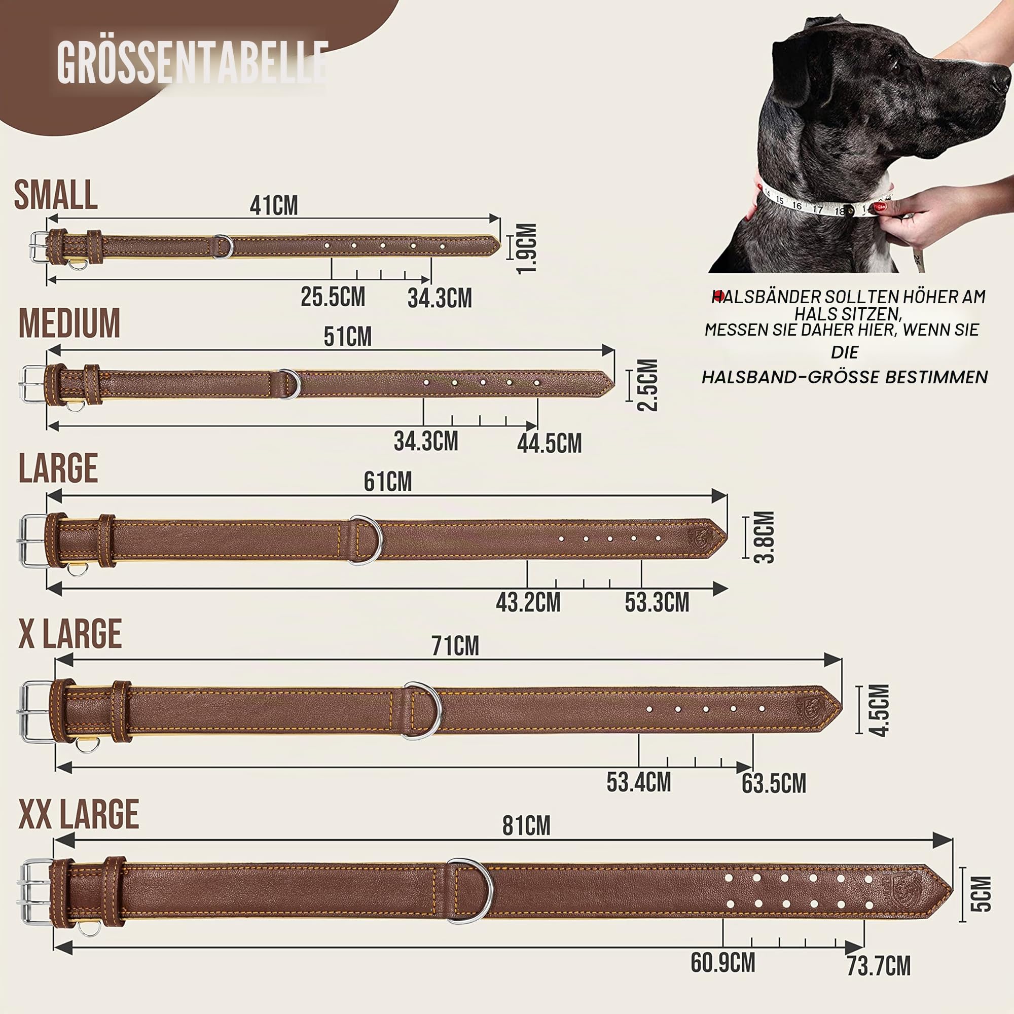 Riparo Echtes Leder Verstellbares Hundehalsband mit Zusätzlicher Verstärkung (XXL: 5CM Breit für 60,9CM - 73,7CM Hals, Braun)