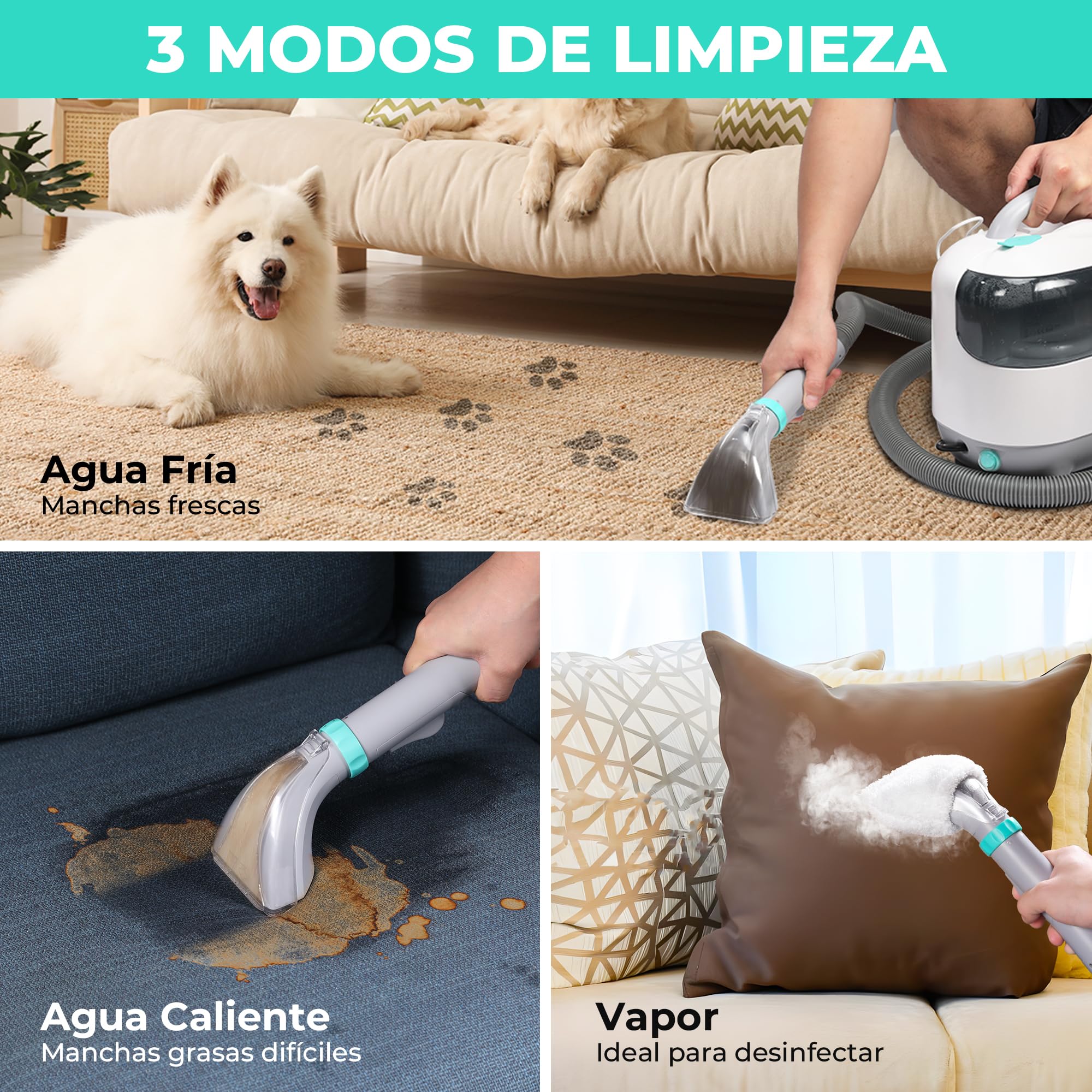 HAUSHOF StainZapper Vapo Limpiador de Alfombras a Vapor, Aspiradora de Agua Tapiceria con Funciones de Agua Caliente y Vapor, Limpia Tapicerias para Sofá, Moquetas, Incluye Detergente y Cepillo, 75 dB