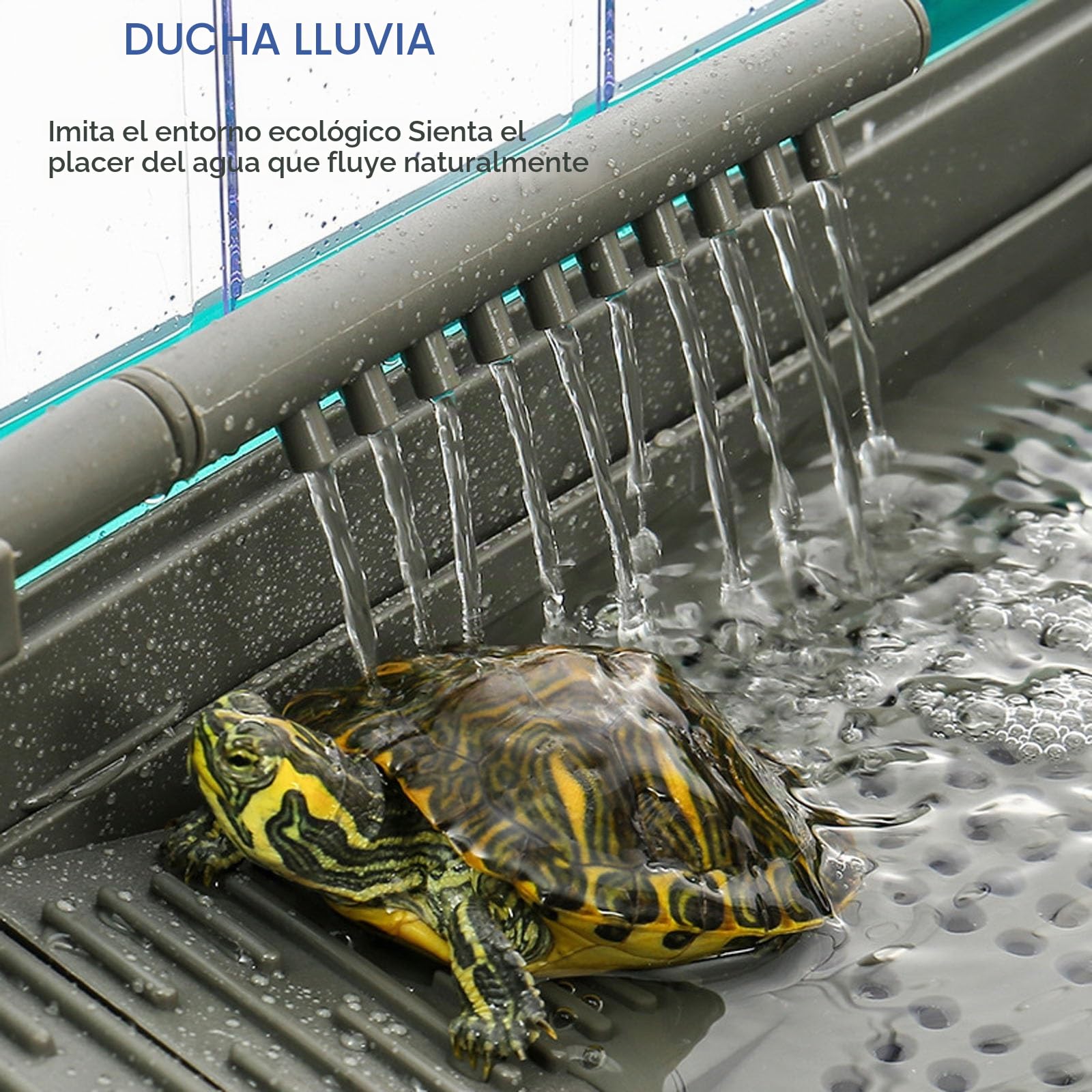 Terrario Tortugas de Tierra | Terrario Reptiles y Anfibios | Acuario Tortuga Set Completo con Filtro de Agua para Ducha | Tanque para Hibernación de Tortugas | Fácil de Cambiar y Limpiar(Green Without