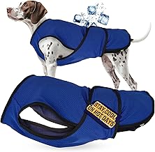 Lautus Pets Gilet Rafraîchissant pour Chien – Veste d’Été Légère pour Petits Chiens avec Fermeture Éclair et Velcro – Facile à Mettre/Enlever pour Promenades, Voyages et Extérieur - XXL
