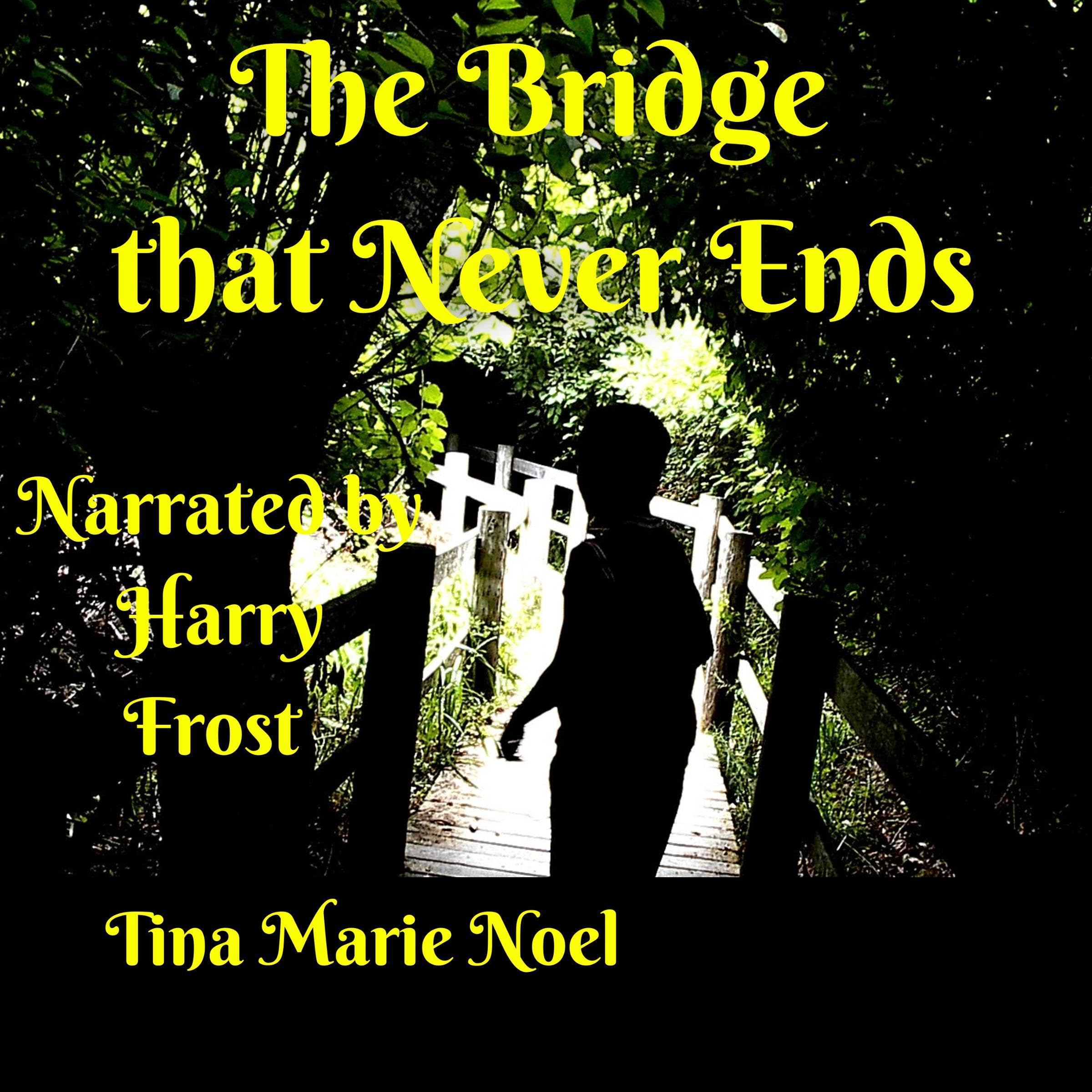 The Bridge That Never Ends