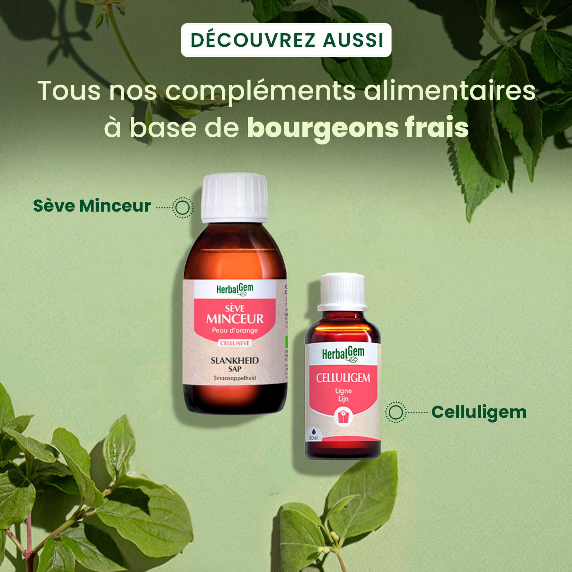 Complexe celluligem bio 30 ml