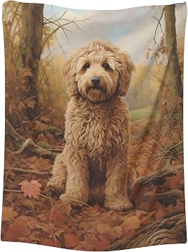 Labradoodle Dog Blanket Gift Blanket for Bed Large Throw Blankets 60 x 80