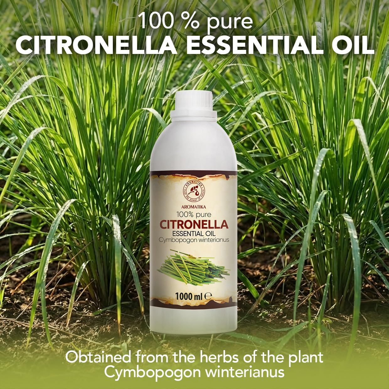 Olejek Eteryczny z Citronelli 1000 ml - Cymbopogon Winterianus - Olejek Aromatyczny do Dyfuzora - Aromaterapia - Świece Zapachowe - Mydła - Odświeżanie Powietrza