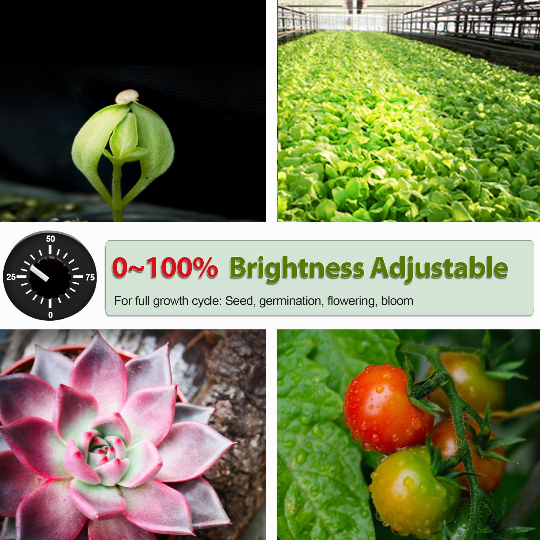 ICEKO 240W LED Vollspektrum Pflanzenlampe, LED Grow-Lamp, Wachstumslicht für Growbox-Komplettsets, Hydrokultur, Growzelt, Zimmerpflanzen, Gemüse & Blumen