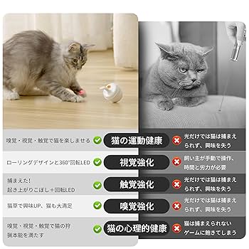 限定生産 熊猫先生 ハビービーにくちづけを LEDブック型ライト 楽天市場】【ドライバー付※無くなり次第終了】 くまのおやすみ