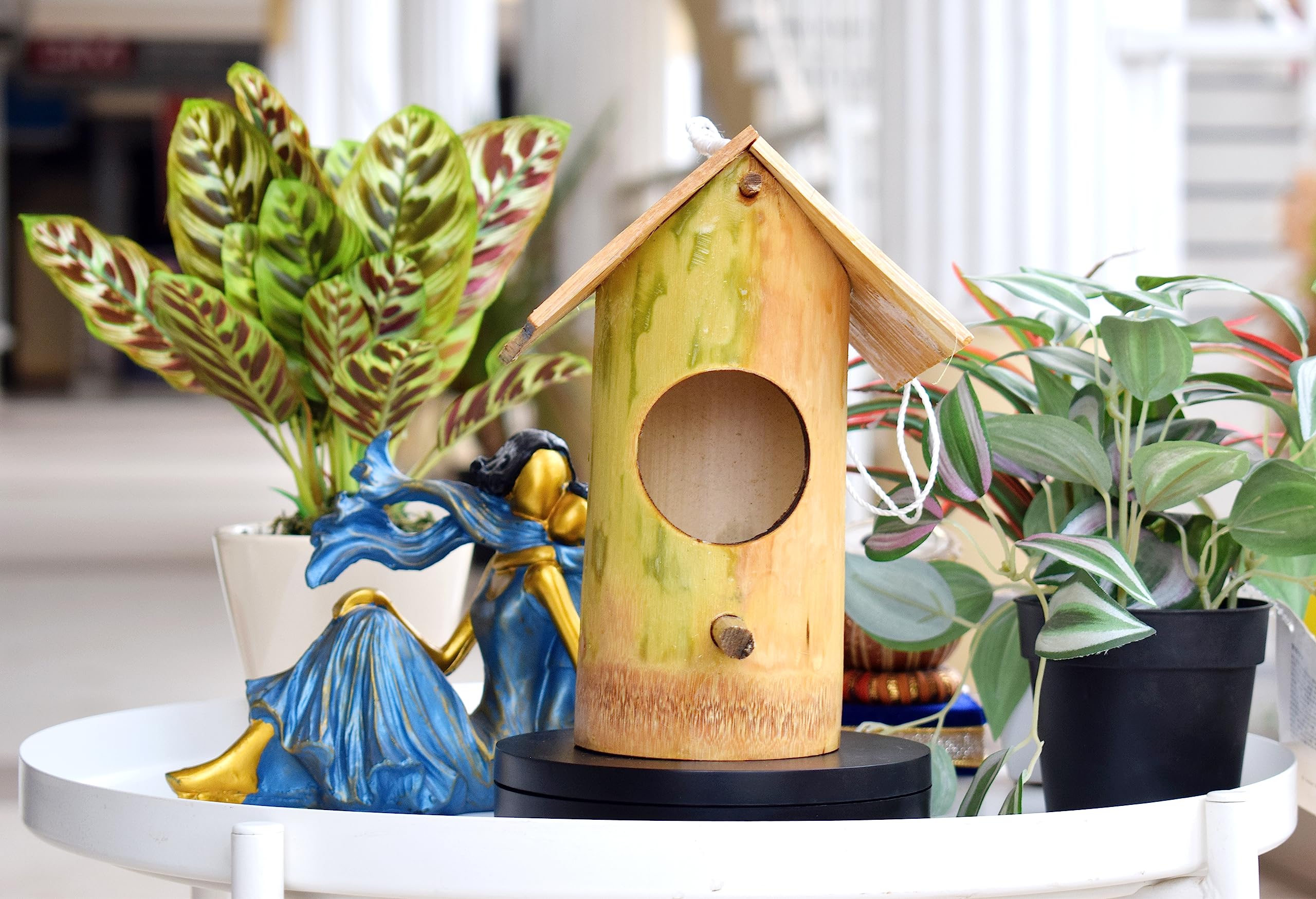 VH Veryhom Safest Bamboo Organic Bird Nest Purely Handmade Sparrow/Small Birds, Material Type Real Bamboo Size Medium | Bamboo Bird Houses For Eco-Friendly Birding (B0CBFLKX6S) Amazon Price History, Amazon Price Tracker