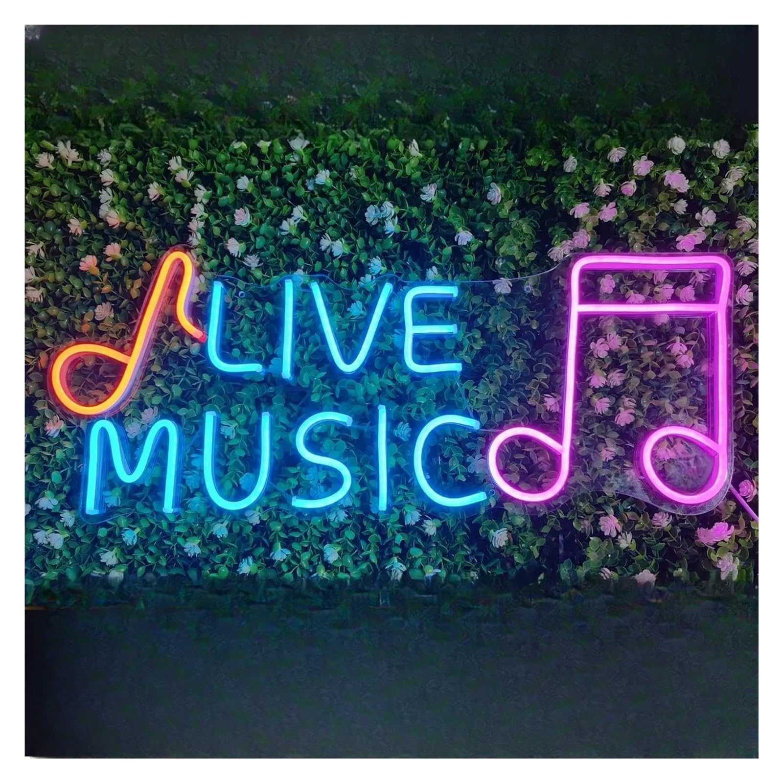 LEMST Signs Lamp Live Music Neon Sign for Wall Decor,USB Powered Dimmable Light for Bedroom,Night Club Beer Bar Party Decorations 42cmх17cm