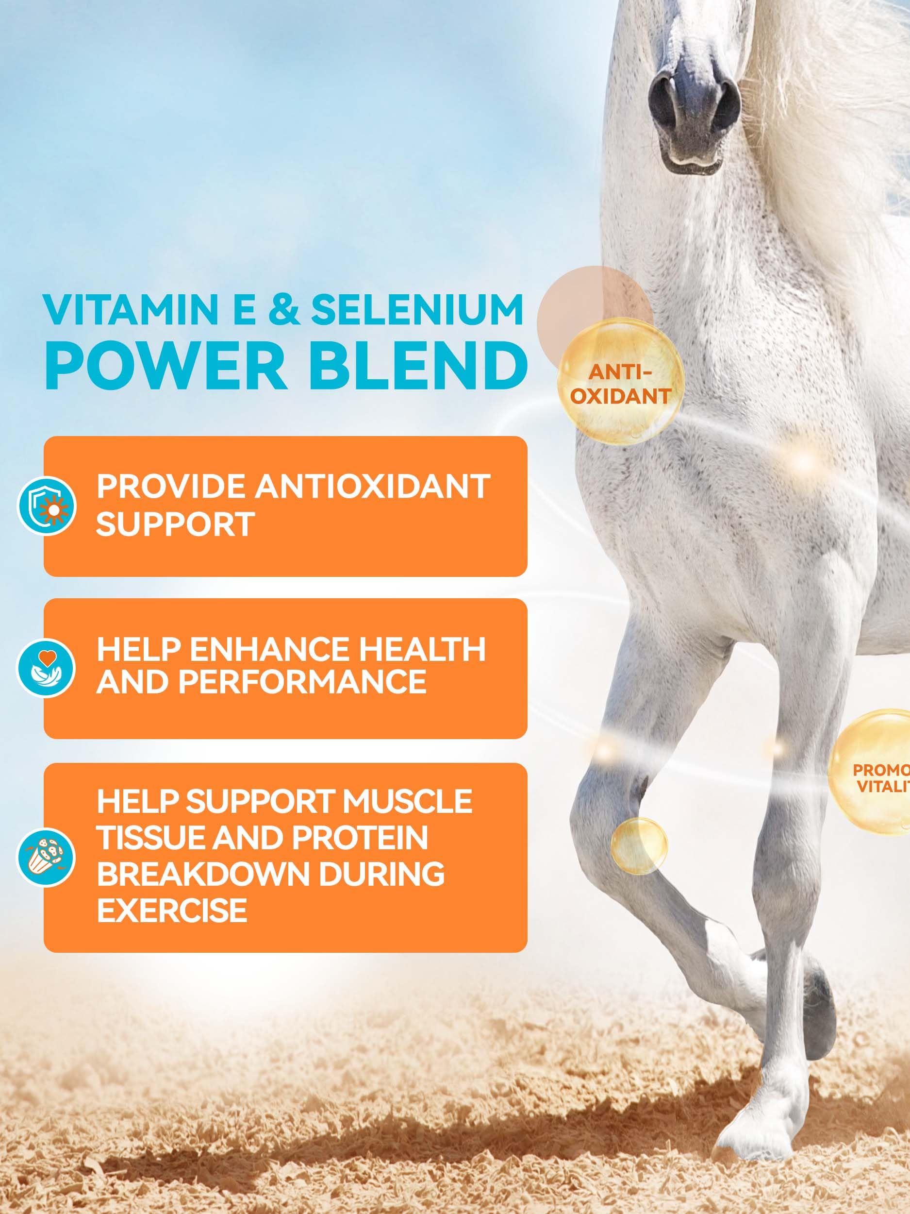 Natural Vitamin E & Selenium for Horses Muscle Build Support for Active Horses Equine Vitamin E Powder Supplement 100-Day Supply — Amazon image 2