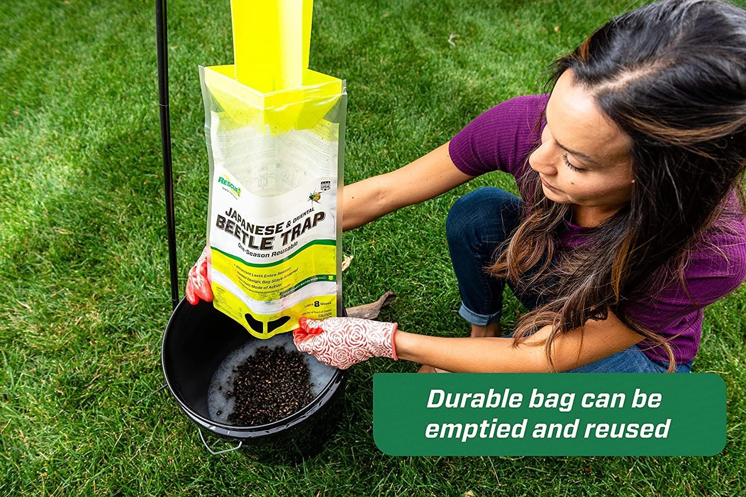 Japanese Beetle Trap