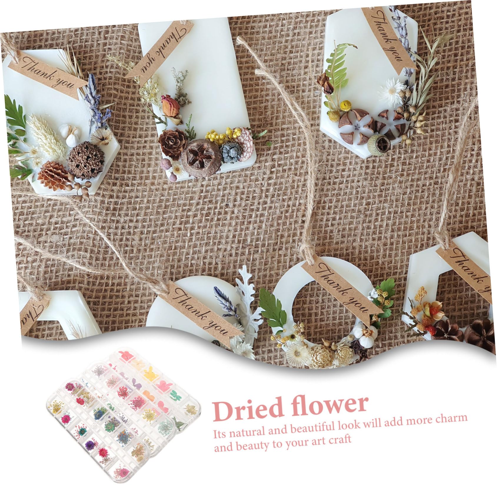 ABOOFAN 9 Cases Fleurs Séchées Remplies D'époxy Ongles De Marguerite Stickers Artisanat De Fleurs Séchées Séché Fleur Séchée Décor Floral Fleurs Séchées Naturelles