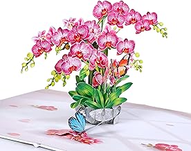 CUTPOPUP Orchid Birthday Cards for Women, Happy Mothers Day Cards Pop Up, 3D Gifts Card for Wife Her Girls Sister Daughter Anniversary (Orchid) US8-FL198UK