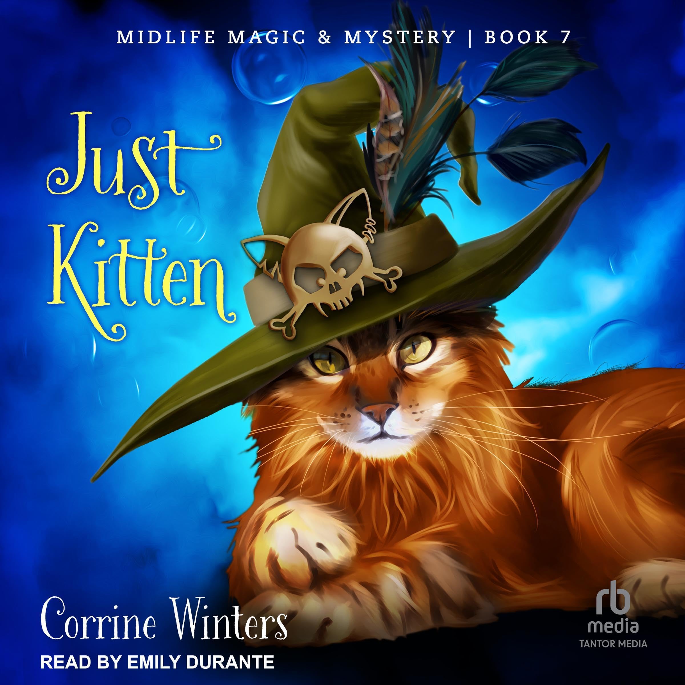 Cover art for Just Kitten