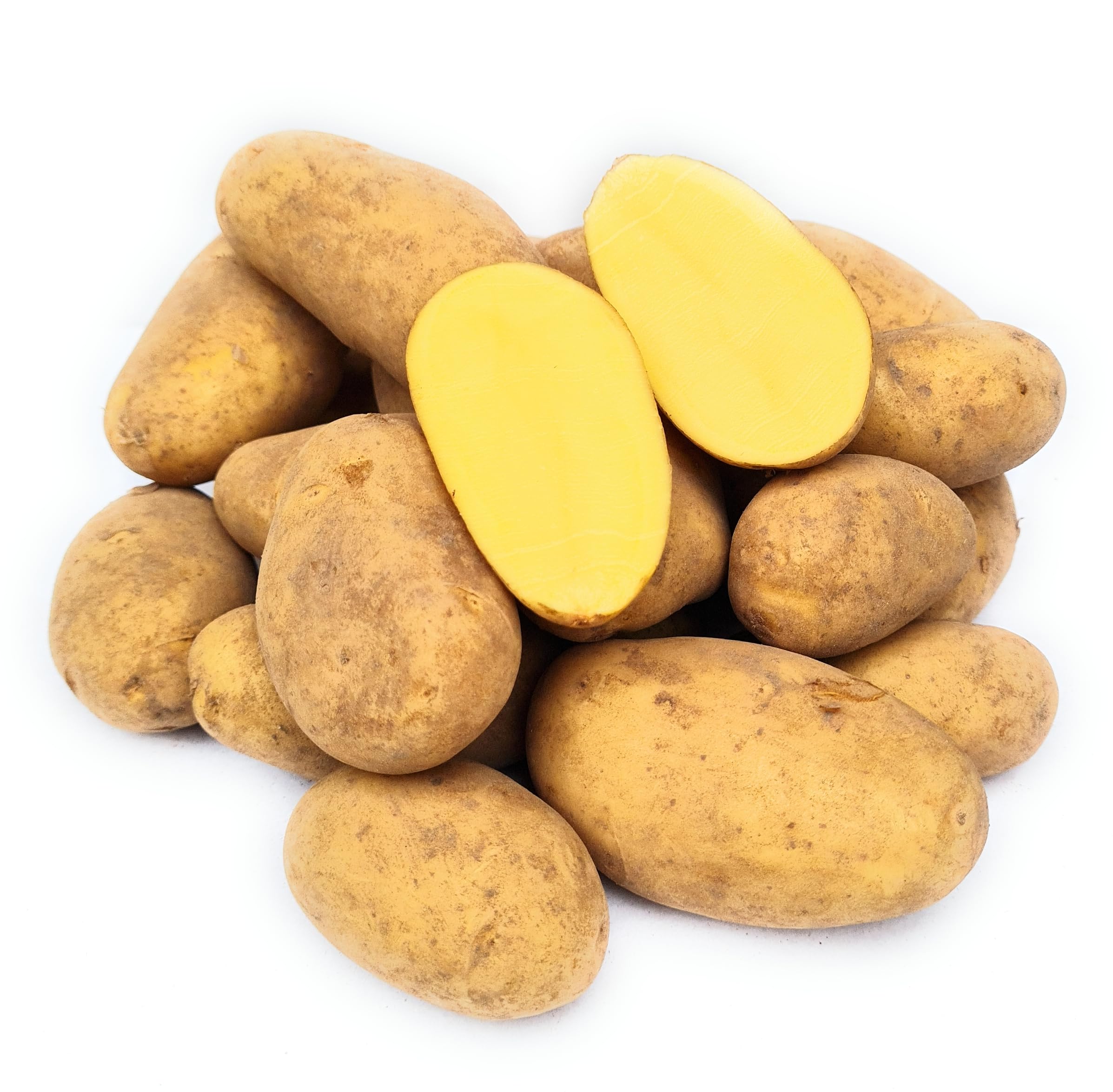 Afra Kartoffeln, mehlig kochend, aus Ernte 2026, von Kehrbachs Hof aus Norddeutschland (10 Kg)