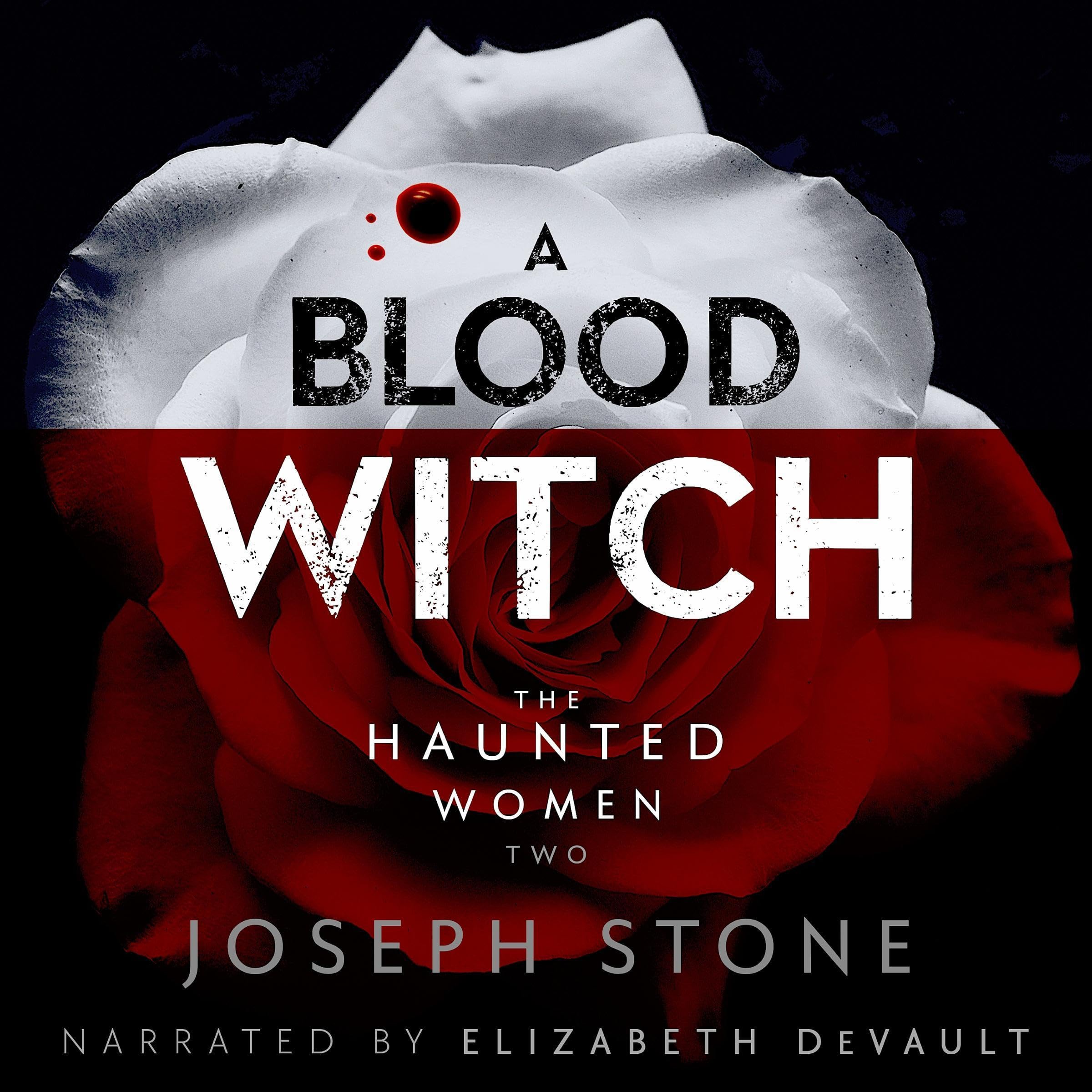 Cover art for A Blood Witch