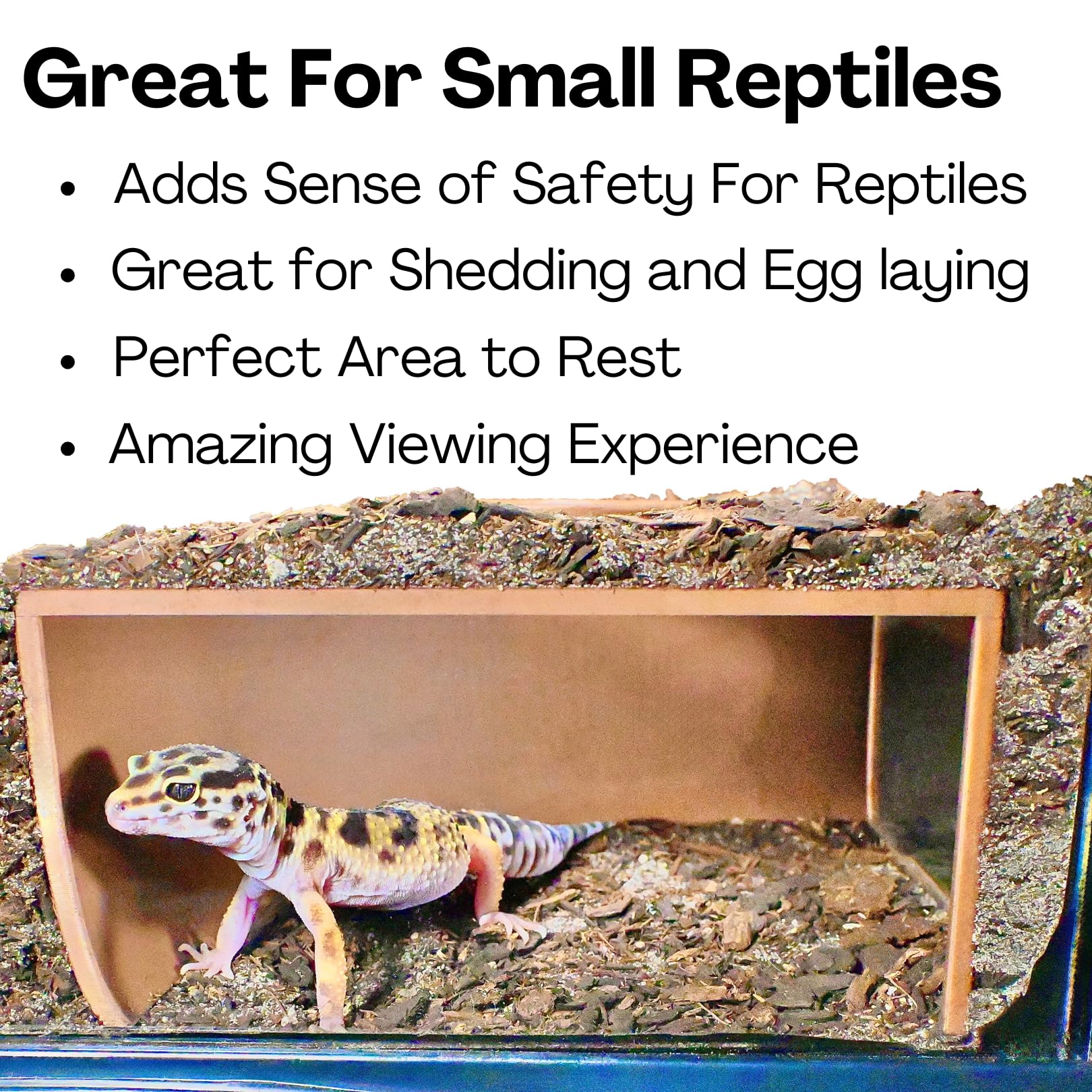 Amazon.com : Reptile Corner Underground Cave Viewing Hide