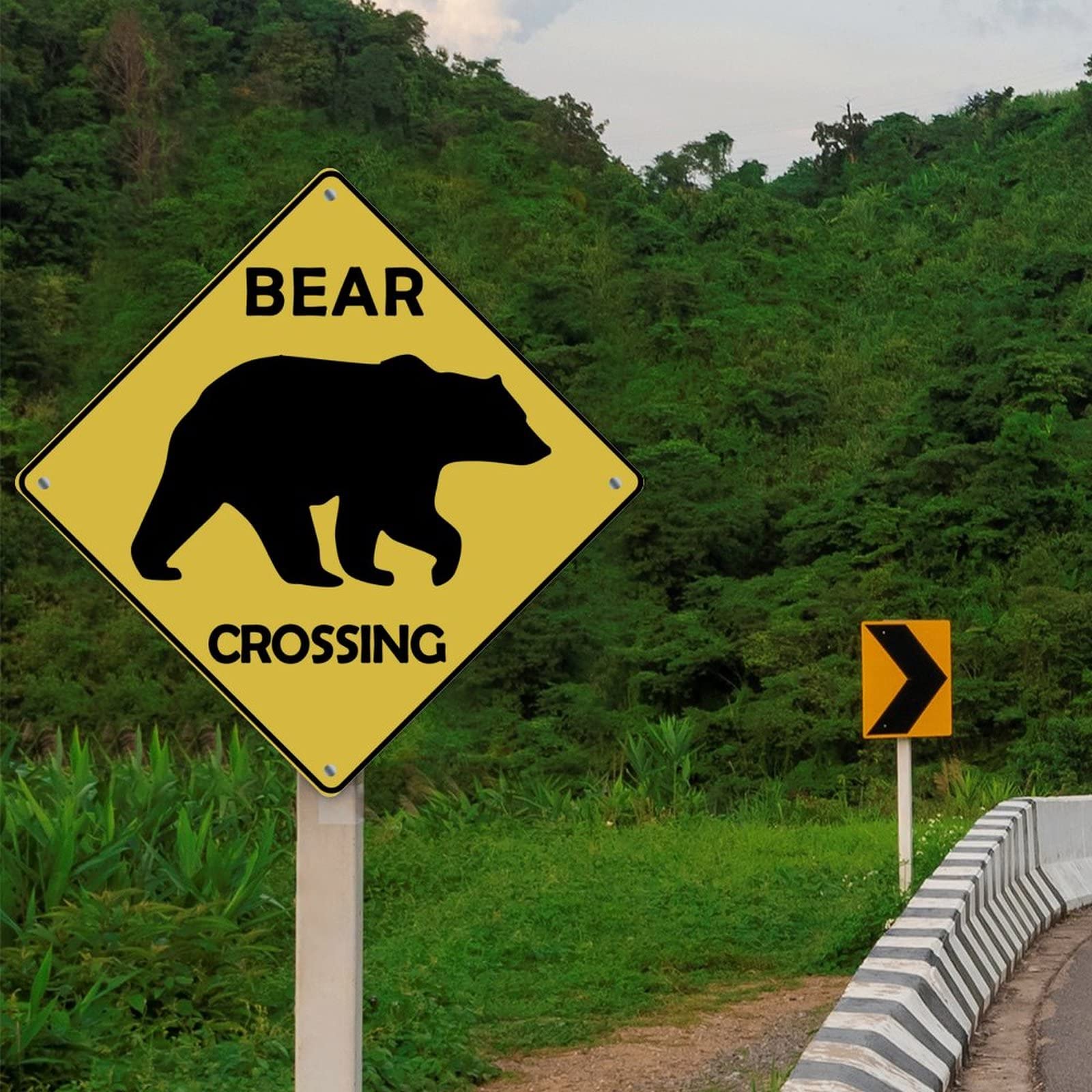 Bear　0107 ♡ Bear 0107 ♡ Swingarm Bearing Kit Yamaha Big Bear 07-09, Bruin 05