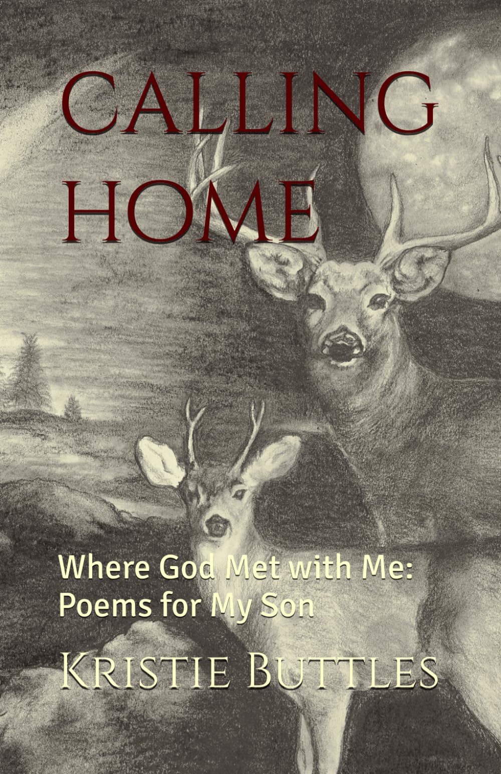 Calling Home: Where God Met with Me: Poems for My Son
