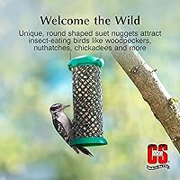 Vista 4 de C&S Wild Bird Woodpecker Seet Nuggets Mega Box, 8 libras