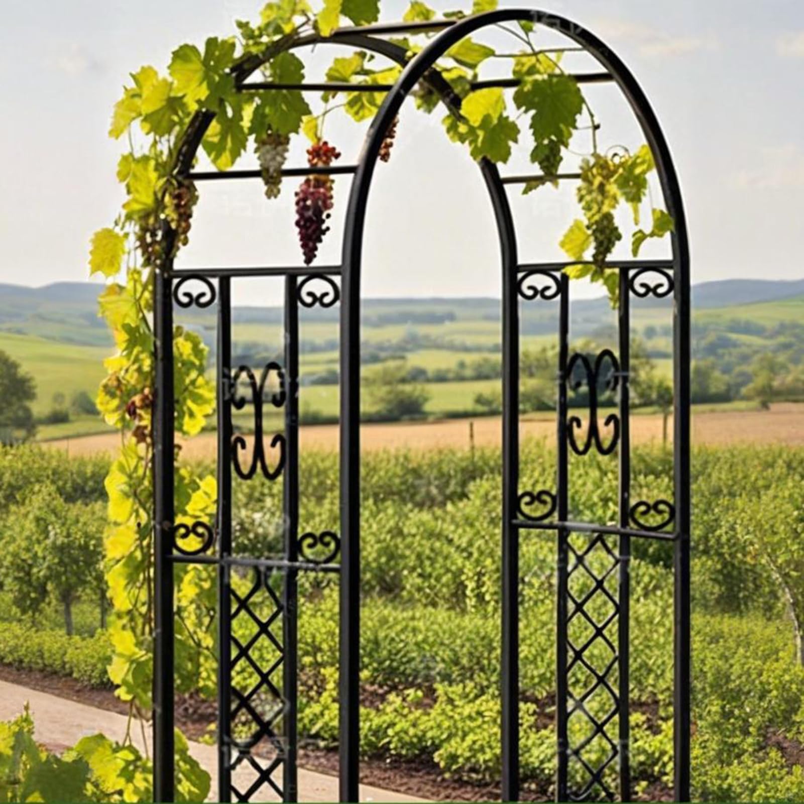 Gartenbogen aus Metall, Rosenbogen 230x140x40 cm, 20 mm Verzinkter Stahlrostfrei, Verstärkte Rankhilfe für Kletterpflanzen, Rosen, Hochzeitsbogen Garten & Outdoor (Schwarz)