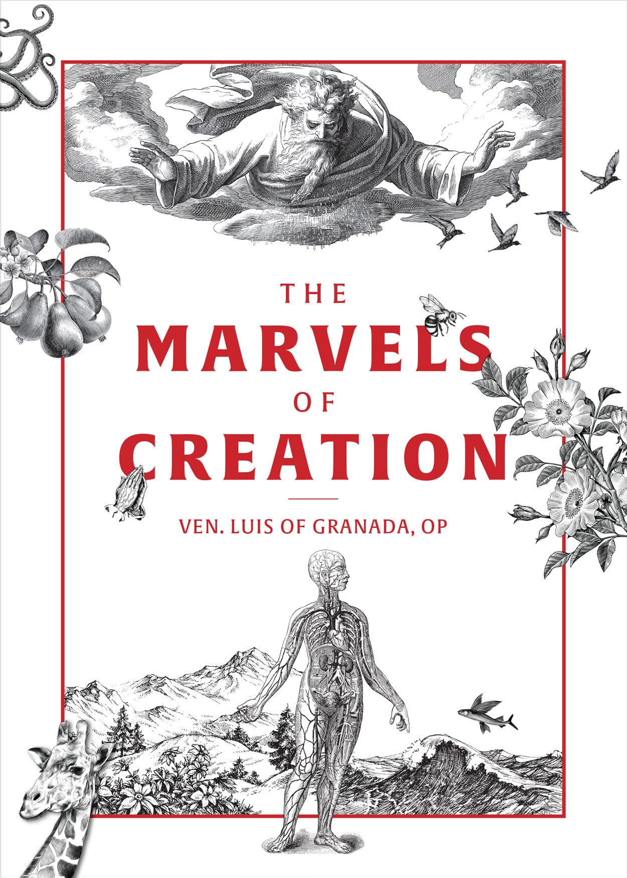 Buy The Marvels of Creation — BookShops.in