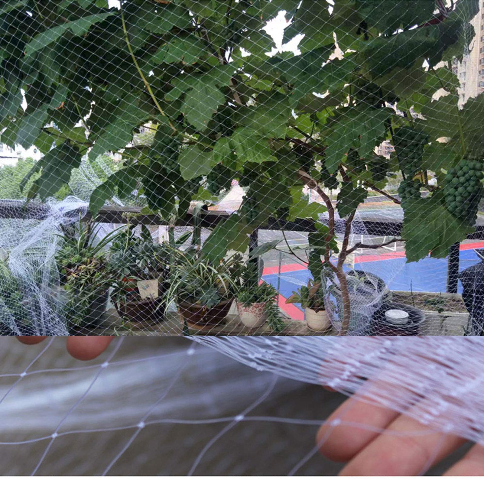 APOE Anti-Uccelli in Rete di Protezione, Rete da Giardino per Laghetto, Proteggi Piantine, Verdure, Piante, Frutti, Alberi e Copri Stagni per Prevenire Gli Uccelli