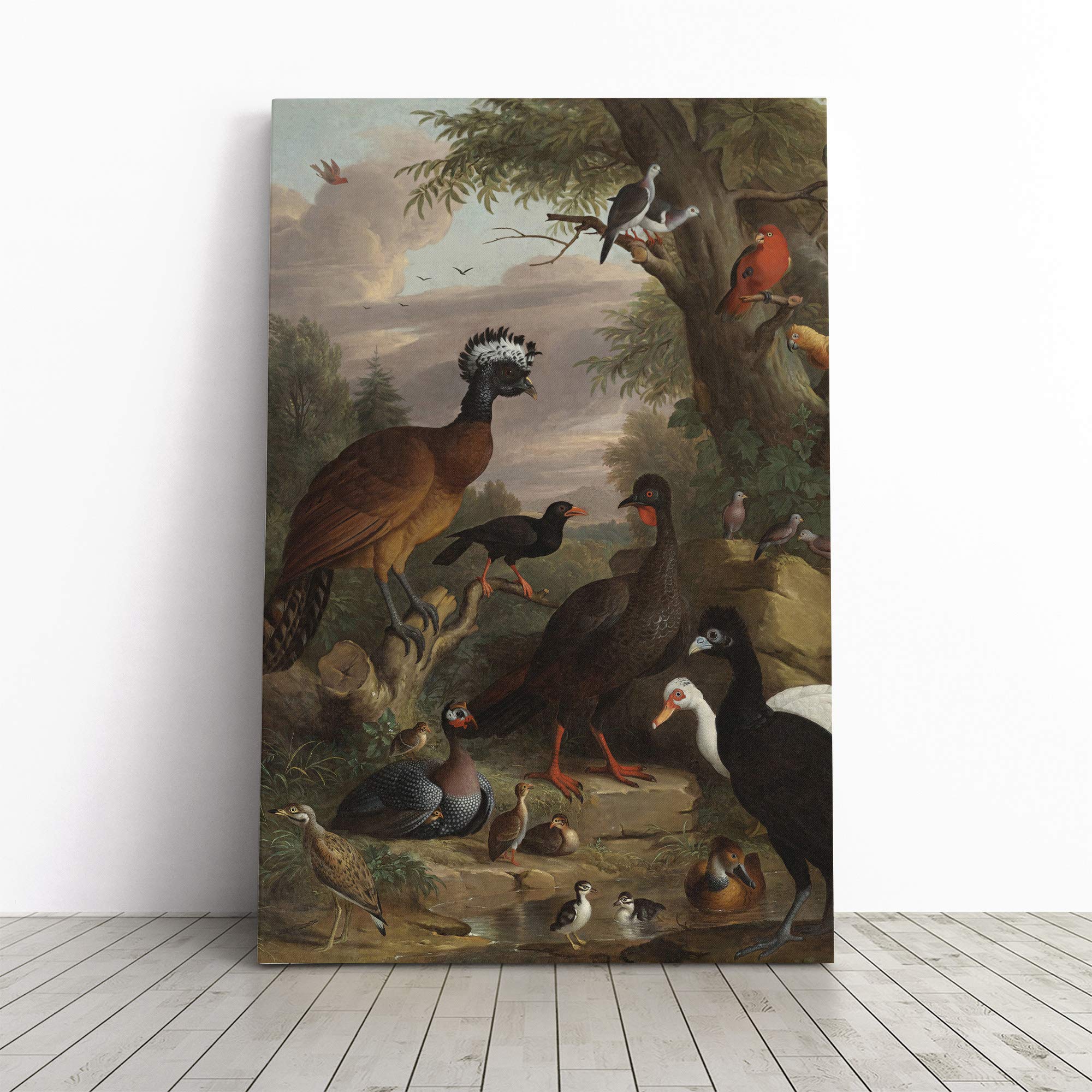 Melchior d'Hondecoeter Birds Vol.2 Canvas Print | Gallery Wrapped 30mm Frame Wall Art | 24x16 inches | Ready to Hang | Modern Bird Picture | Living Room Bedroom Lounge Office