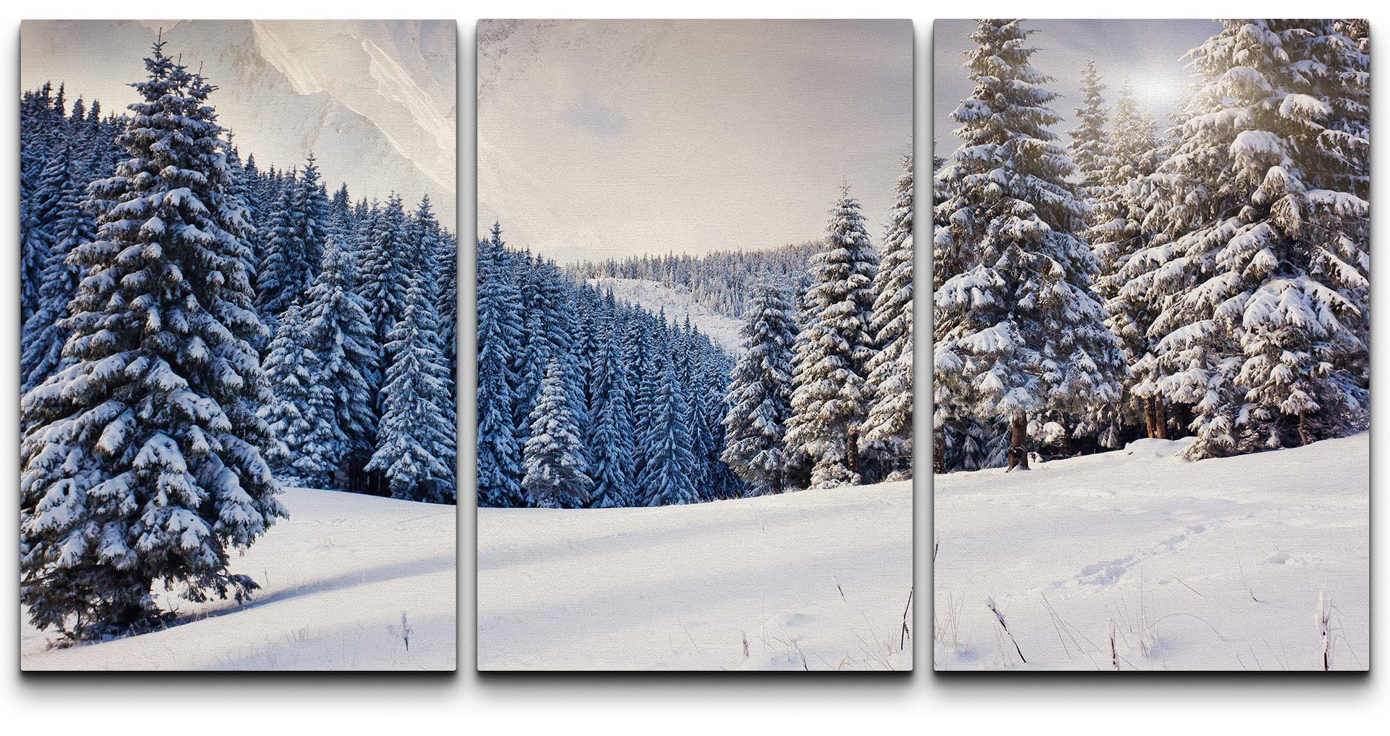 wall26Canvas Print Wall Art Set Sunlight Over Snowy Winter Pine Tree Forest Nature Wilderness Photography Realism Chic Relax/Calm Multicolor for Living Room, Bedroom, Office - 16"x24"x3 Panels