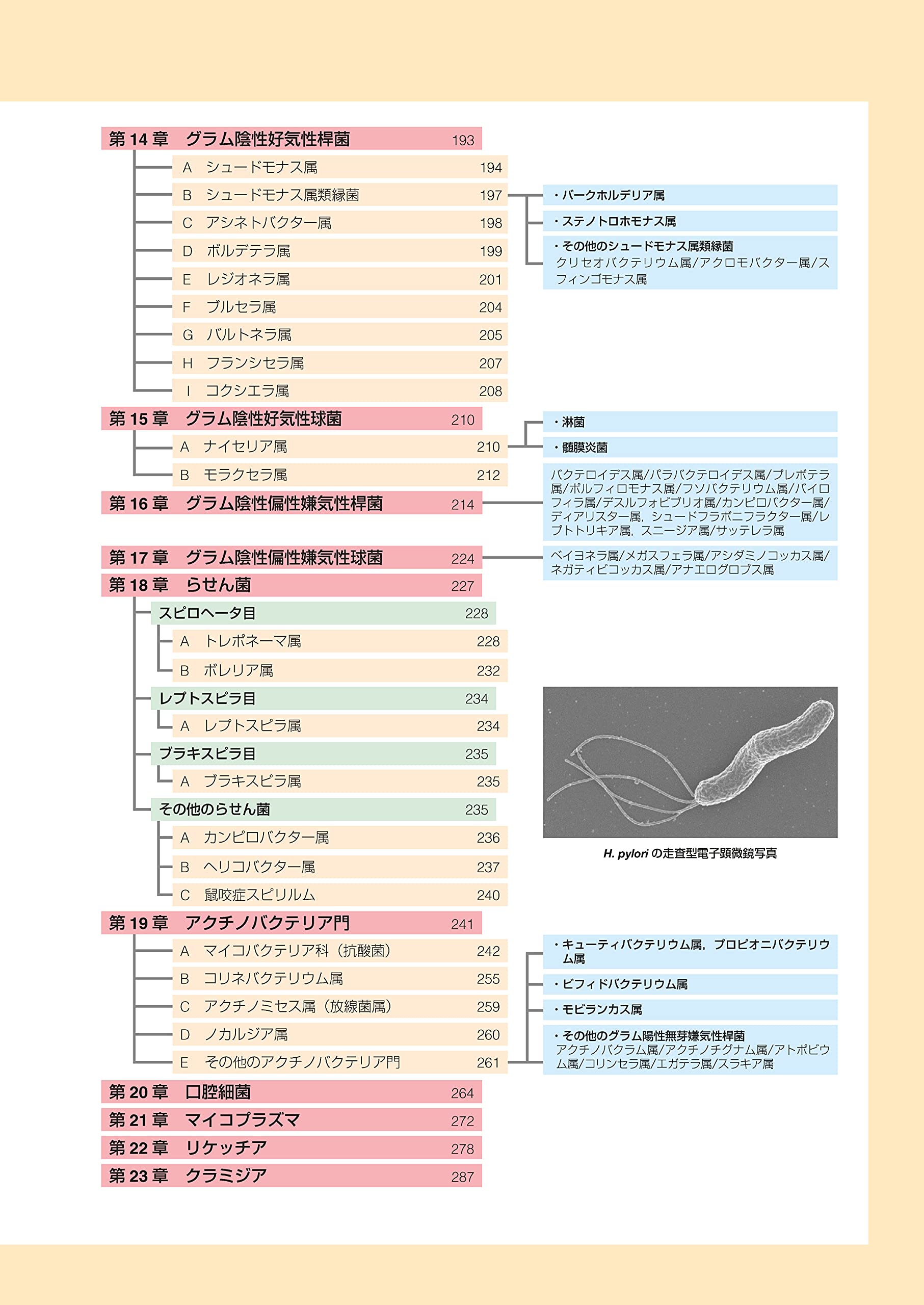 Amazon.co.jp: 医学書院ストア: 標準医学シリーズ