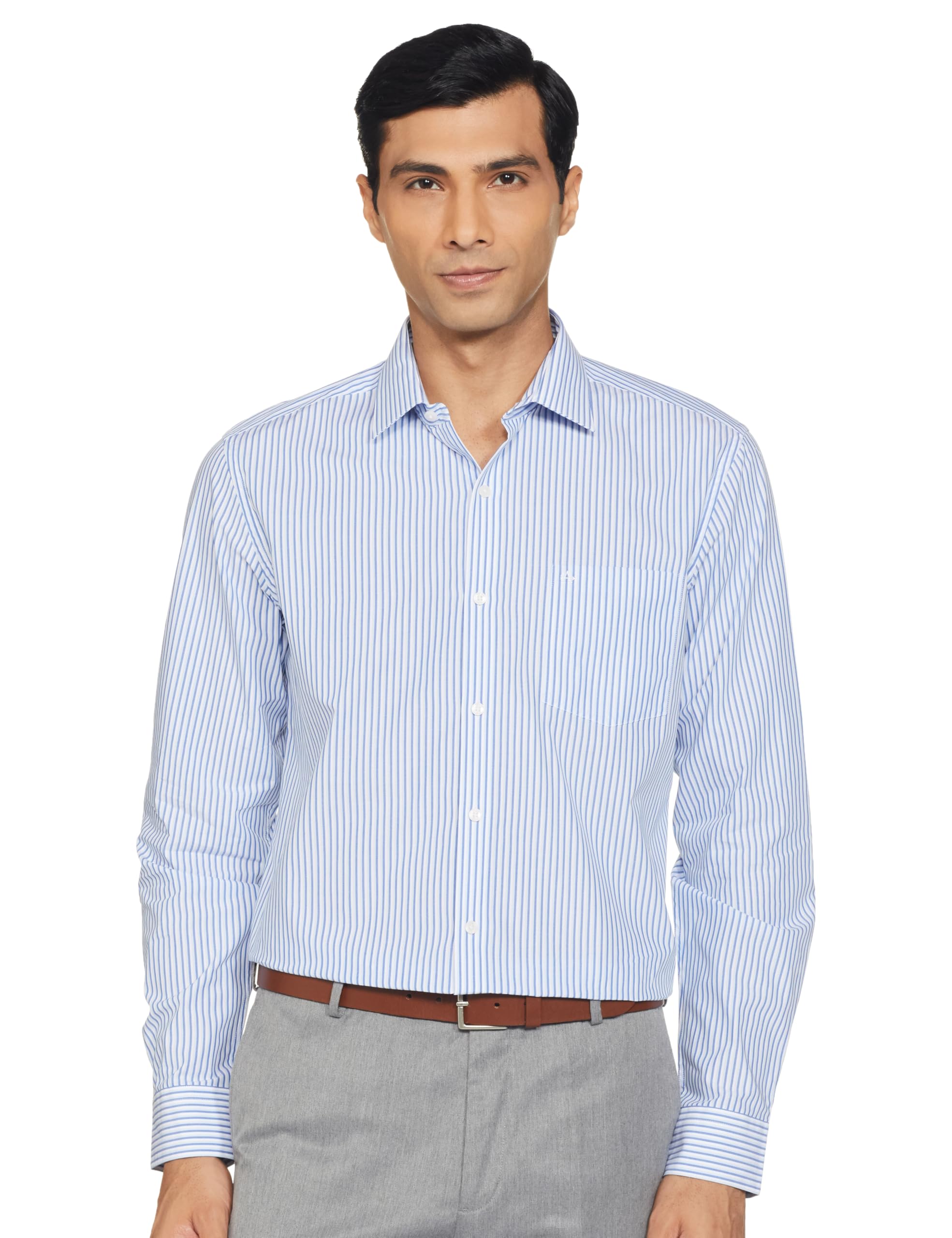 Arrow Vertical Stripe Dobby Shirt