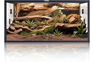 Spacious 120 Gallon Reptile Terrarium