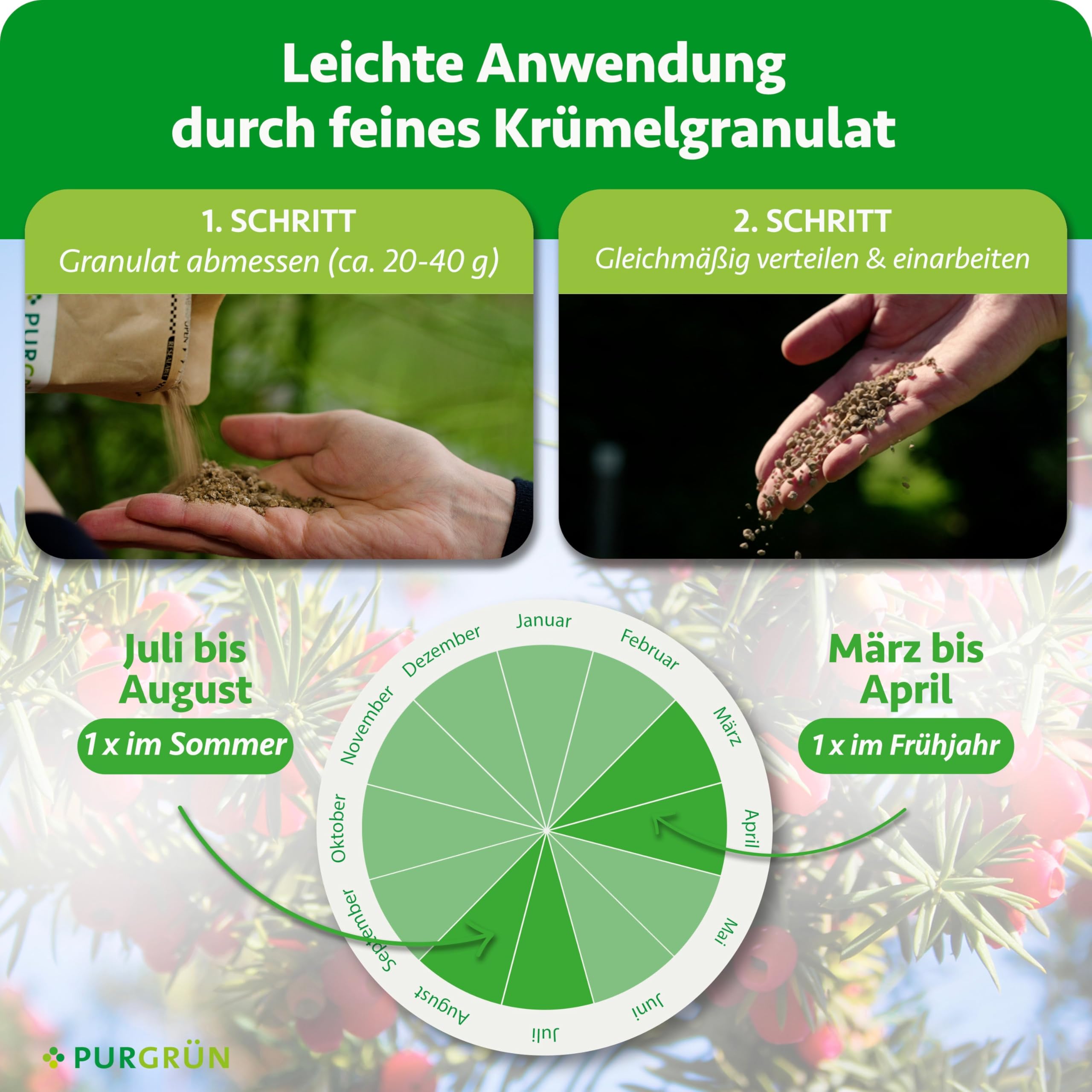 Eibendünger 1 kg – Organisch-mineralische Rezeptur – Feinkörniges Krümelgranulat – NPK 5+4+6 – Extra Magnesium für leuchtend grüne Nadeln – Verbessert die Bodenqualität