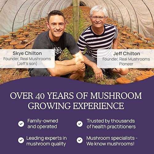 Miniatura 7 de Real Mushrooms Cápsulas de zinc y vitamina D2, con extractos orgánicos de hongos Chaga y Reishi, vitaminas para apoyo general del bienestar, vegano,