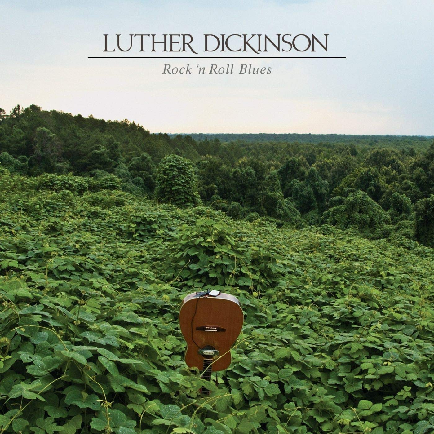 Rock 'n Roll Blues [VINYL]