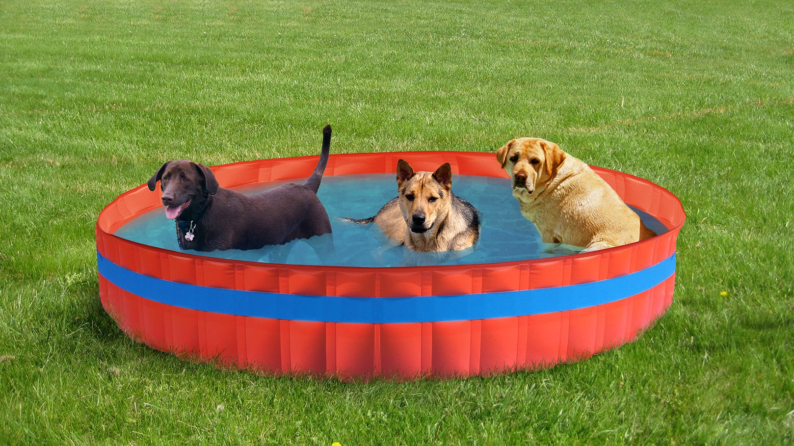 New Plast 3100 – My Dog Pool Piscine pour Chiens, 305 x 46 cm (ØxH)