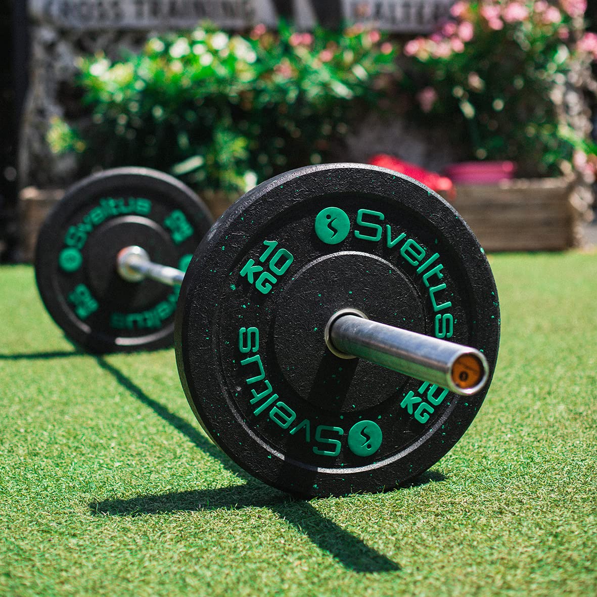 Disque olympique bumper 10 kg x1