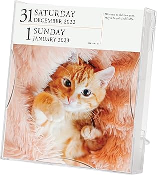 Cat Page-A-Day Gallery Calendar 2023: A Delightful Gallery of Cats for Your  Desktop: Workman Calendars: 9781523516537: Amazon.com: Office Products