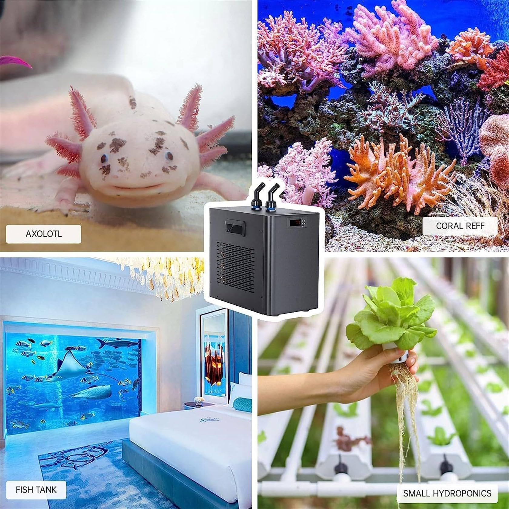 ZUMAHA Macchina per Il Raffreddamento dell'Acqua Dell'Acquario Commerciale 160l/300l/500l Refrigeratore d'Acqua Idroponico Intelligent Constant Fish Tank Chiller, Acqua Dolce/Salata con Pompa,300L