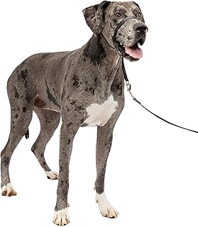 PetSafe ペットセーフ ジェントルリーダー ヘッドカラー クイックリリース(XL ブラック)