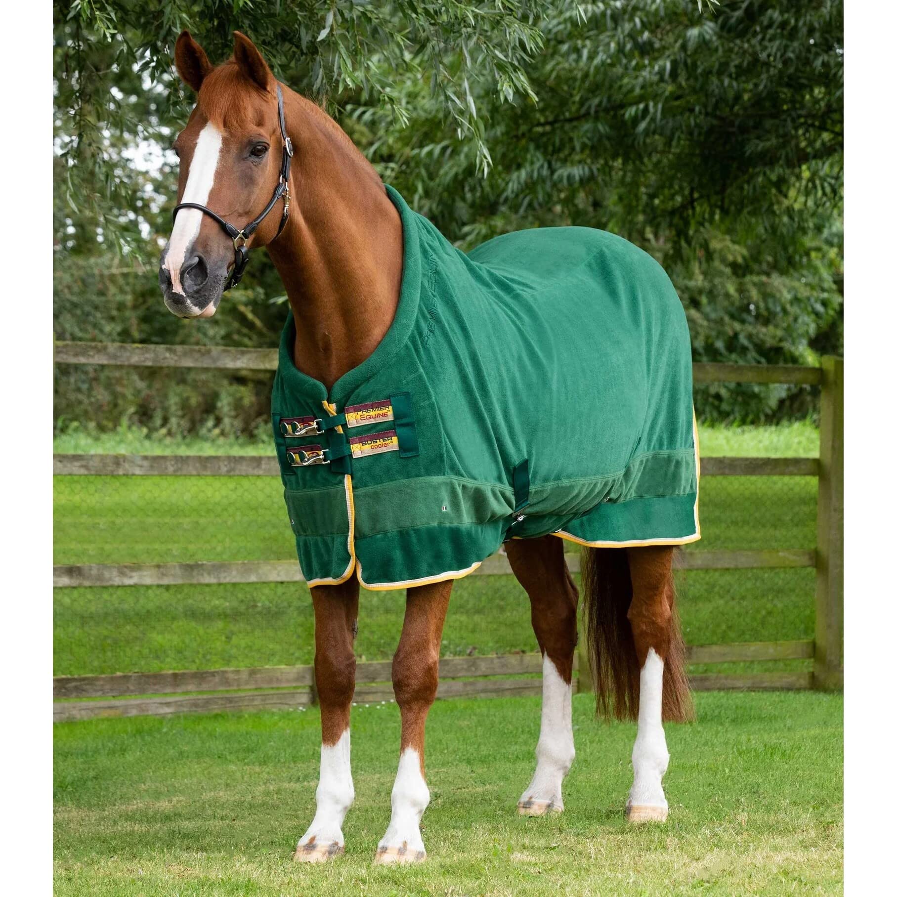 Couverture polaire séchante haut de gamme Buster Continental Premier Equine