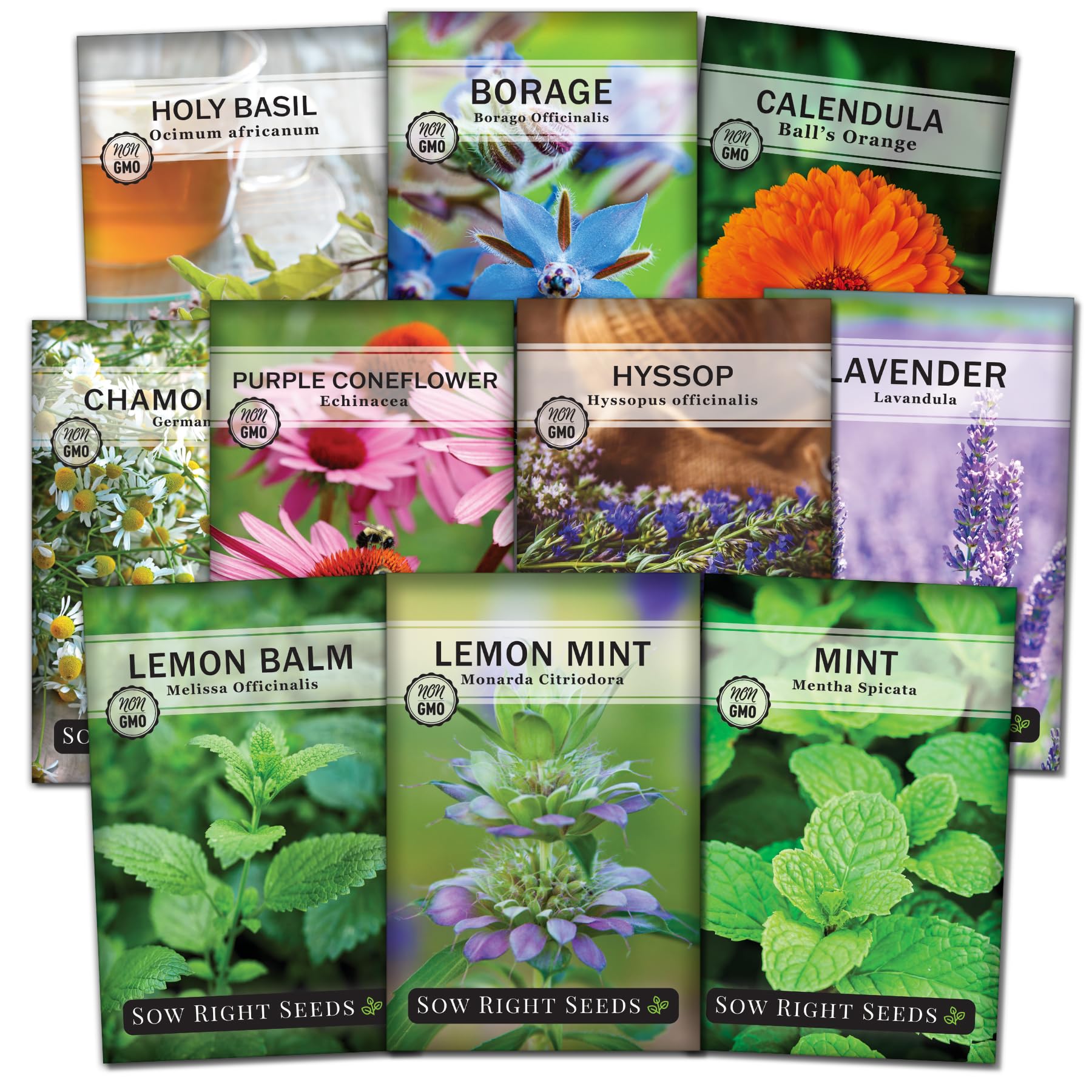 Sow Right Seeds Herbal Tea Garden Collection